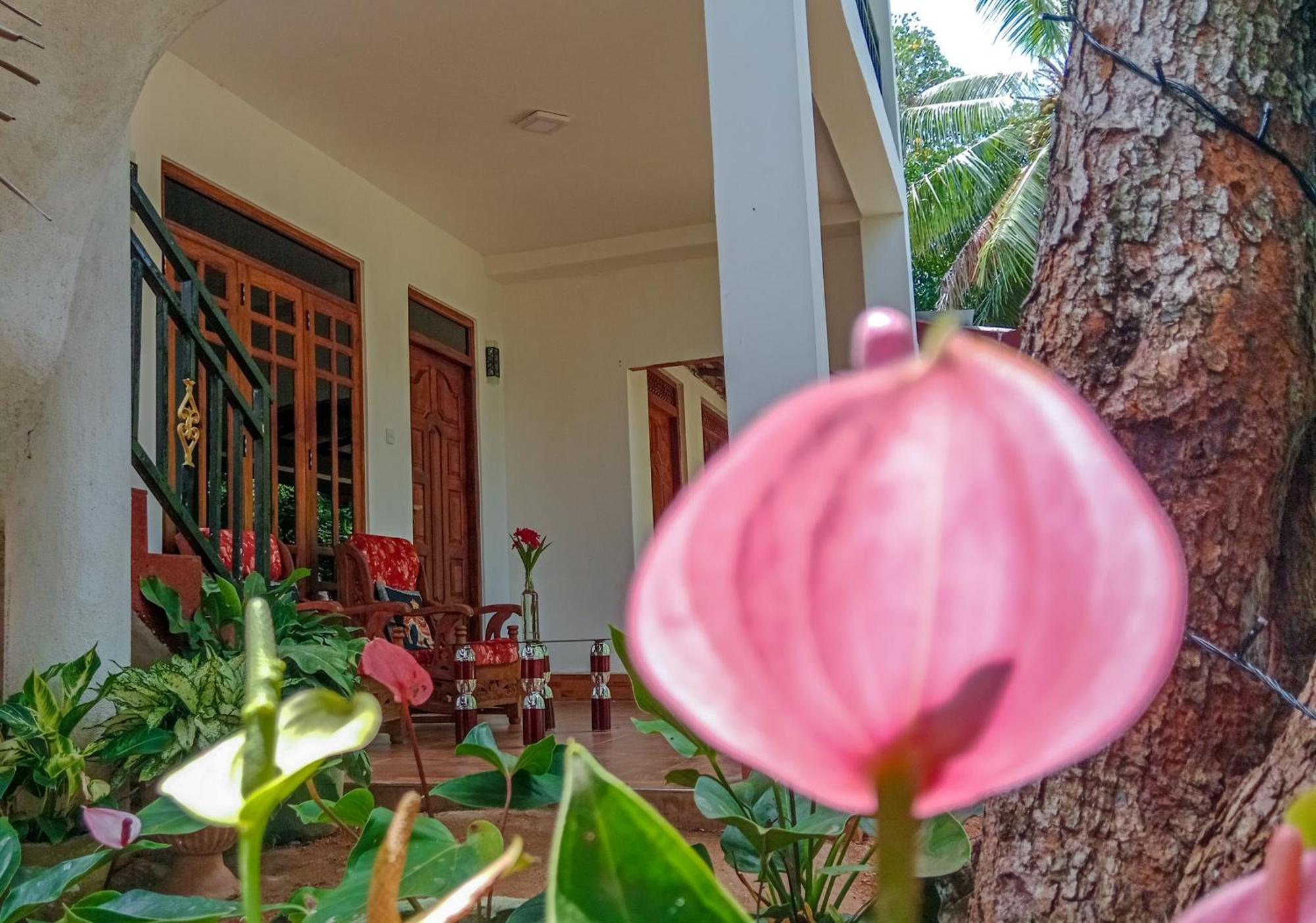 Gimhana Homestay Sigiriya Buitenkant foto